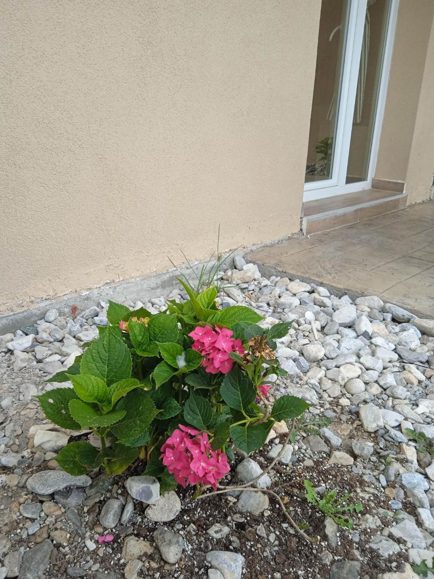 Sylias Village Skala Korinou Екстериор снимка